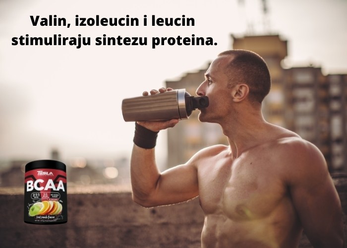 Tesla BCAA za očuvanje mišića